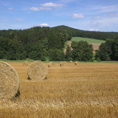 Ferienhof An Der Lay Kerpen  Εξωτερικό φωτογραφία