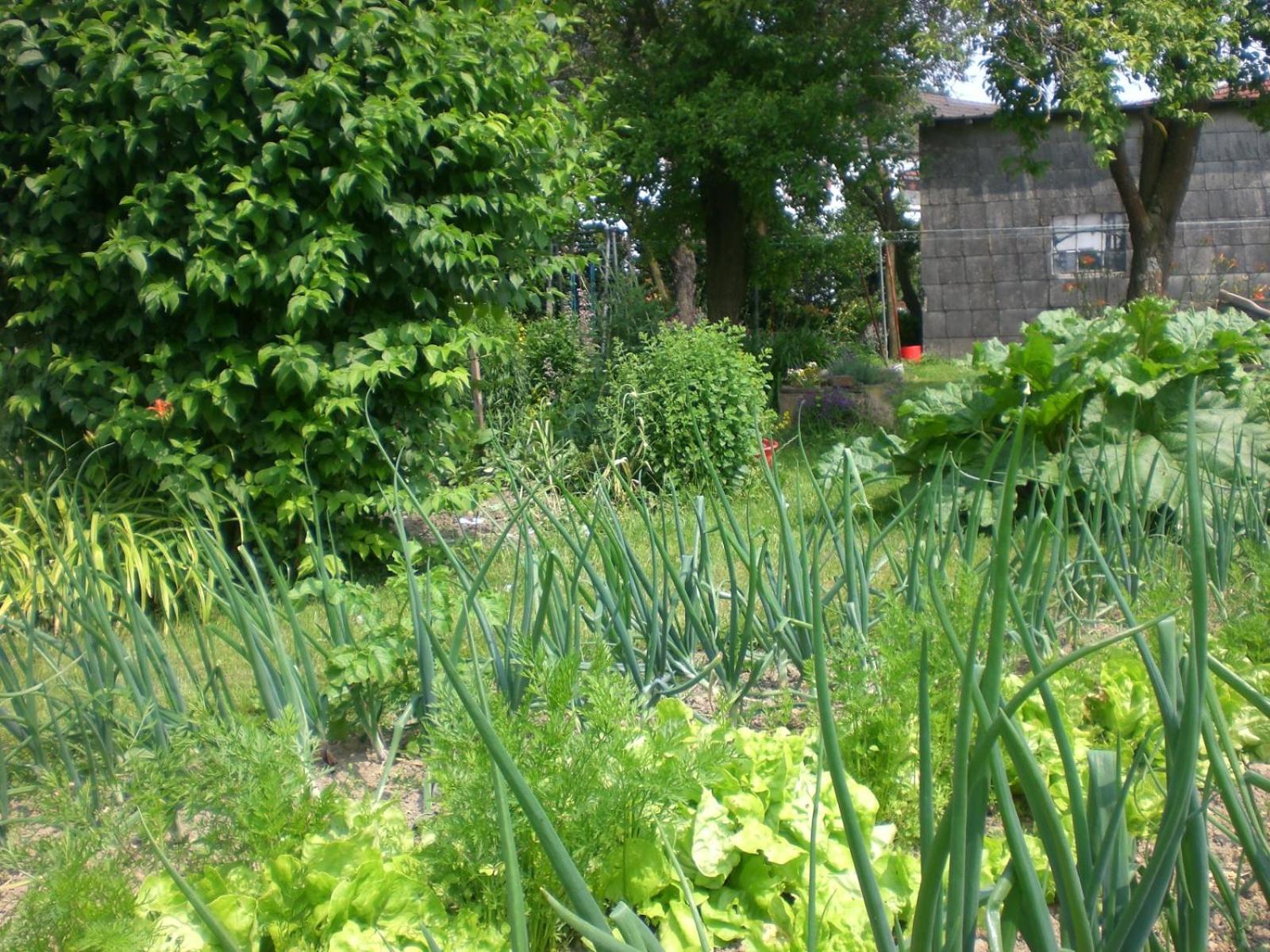 Ferienhof An Der Lay Kerpen  Εξωτερικό φωτογραφία