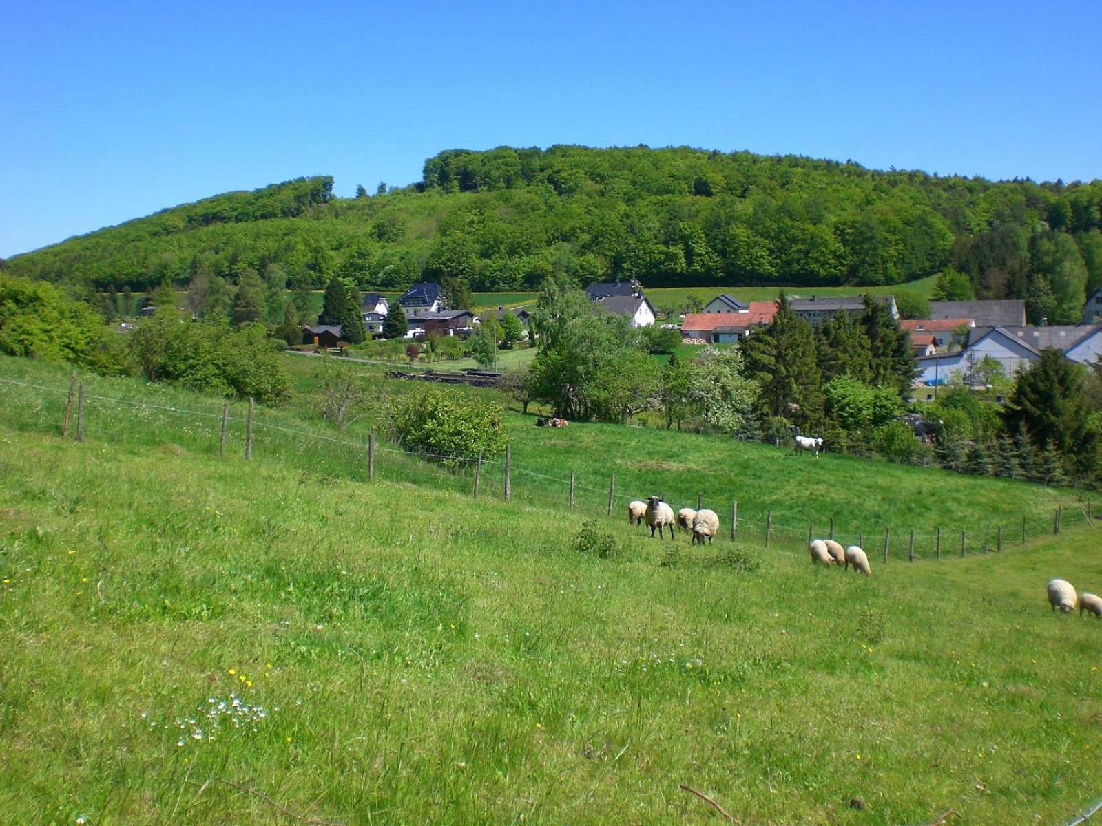 Ferienhof An Der Lay Kerpen  Εξωτερικό φωτογραφία