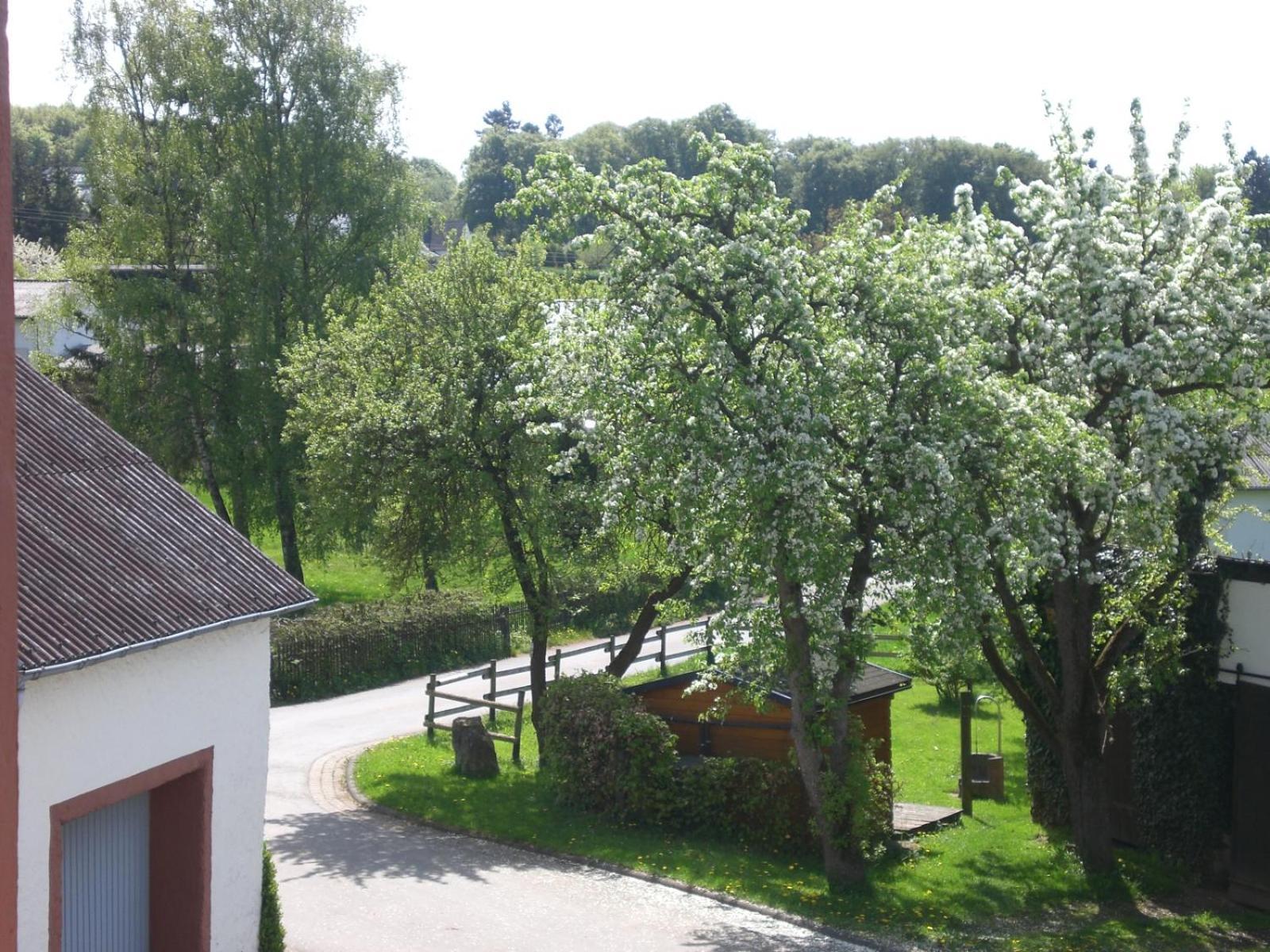 Ferienhof An Der Lay Kerpen  Εξωτερικό φωτογραφία