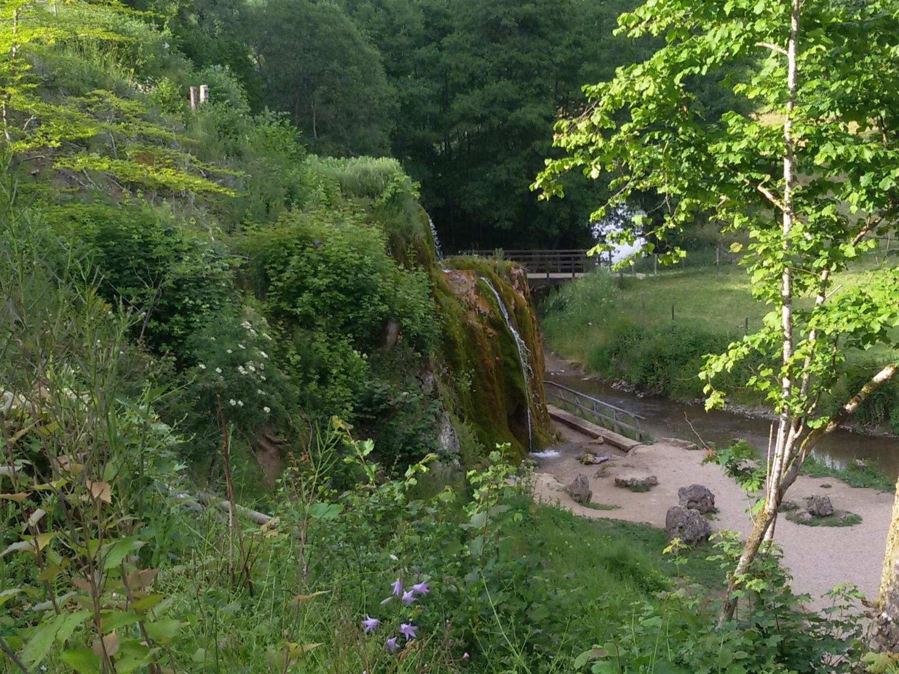 Ferienhof An Der Lay Kerpen  Εξωτερικό φωτογραφία