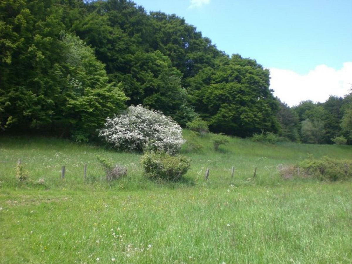 Ferienhof An Der Lay Kerpen  Εξωτερικό φωτογραφία